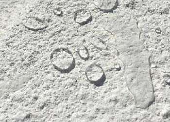 Relés de proteção térmica Relés de proteção térmica